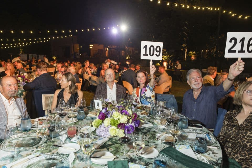 Live auction paddles raised during the evening program